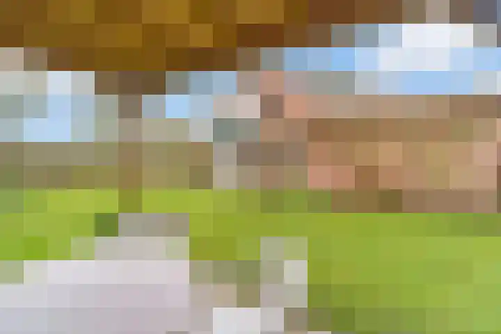 Steenboerweg 14 Zwolle thumbnail 32