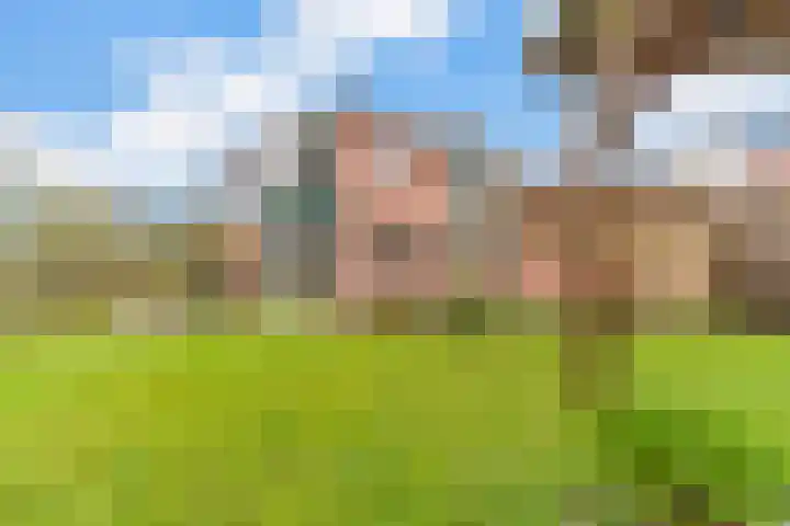 Steenboerweg 14 Zwolle thumbnail 33