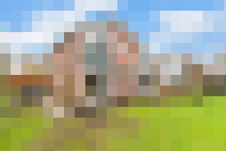 Steenboerweg 14 Zwolle thumbnail 34