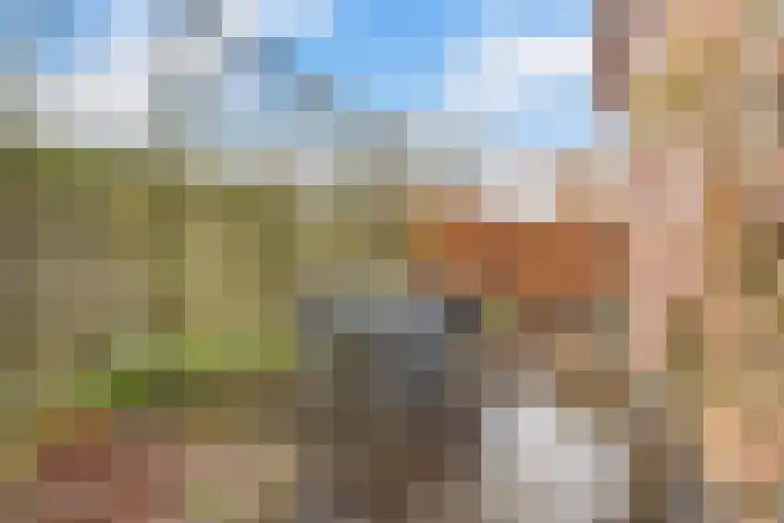 Steenboerweg 14 Zwolle thumbnail 35