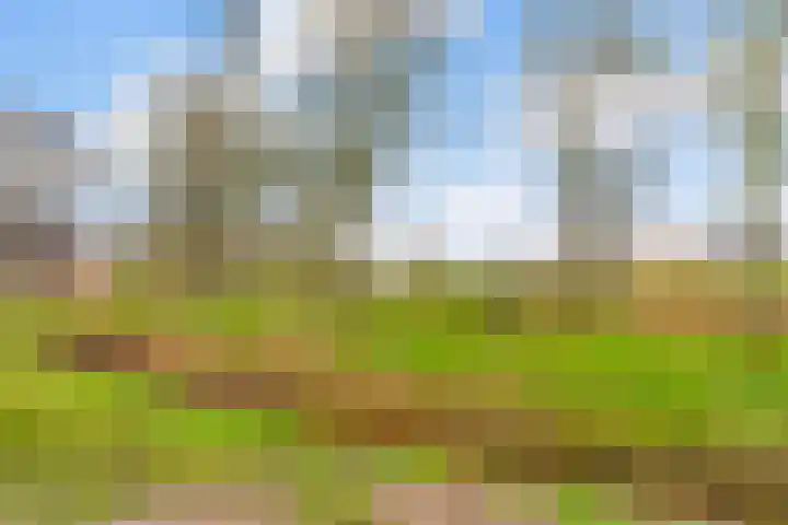 Steenboerweg 14 Zwolle thumbnail 36