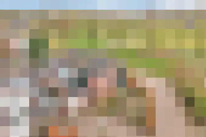 Steenboerweg 14 Zwolle thumbnail 41