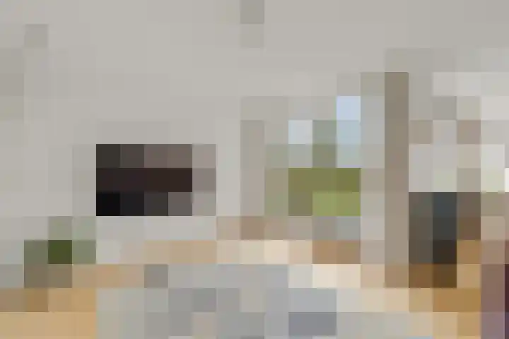 Steenboerweg 14 Zwolle thumbnail 6