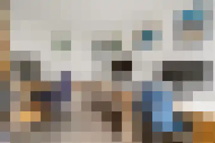 Steenboerweg 14 Zwolle thumbnail 7