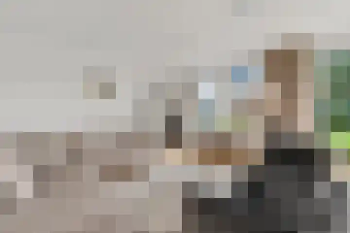 Steenboerweg 14 Zwolle thumbnail 8