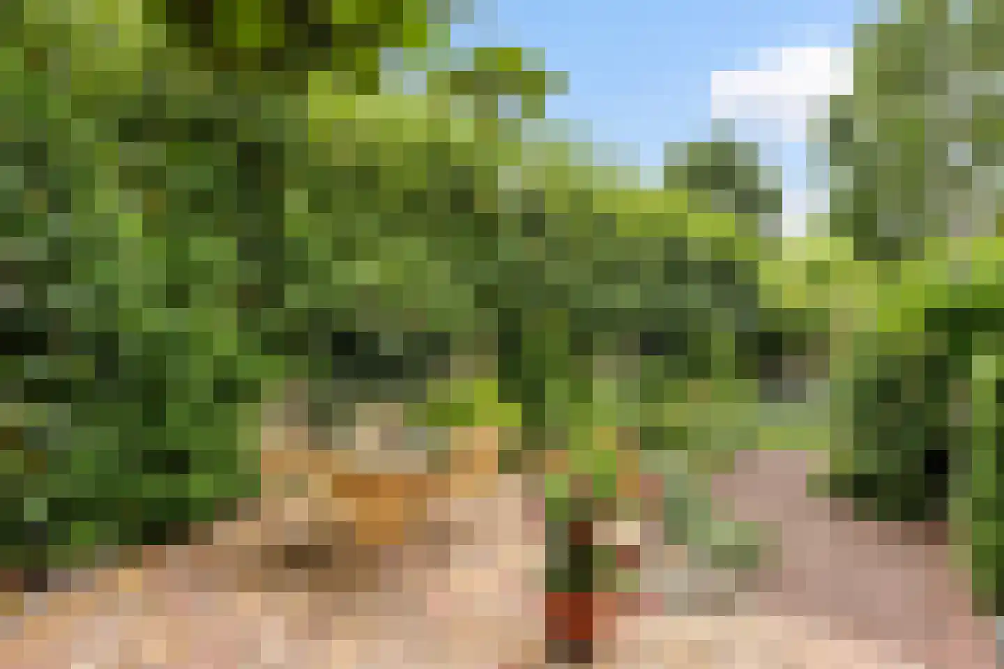 Steenboerweg 15 Zwolle thumbnail 12