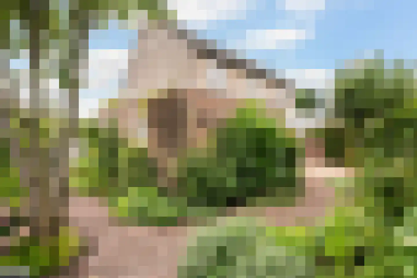 Steenboerweg 15 Zwolle thumbnail 13