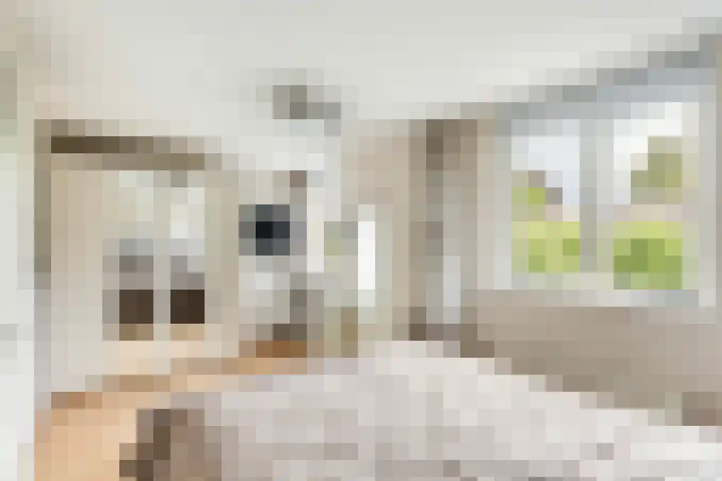 Steenboerweg 15 Zwolle thumbnail 19