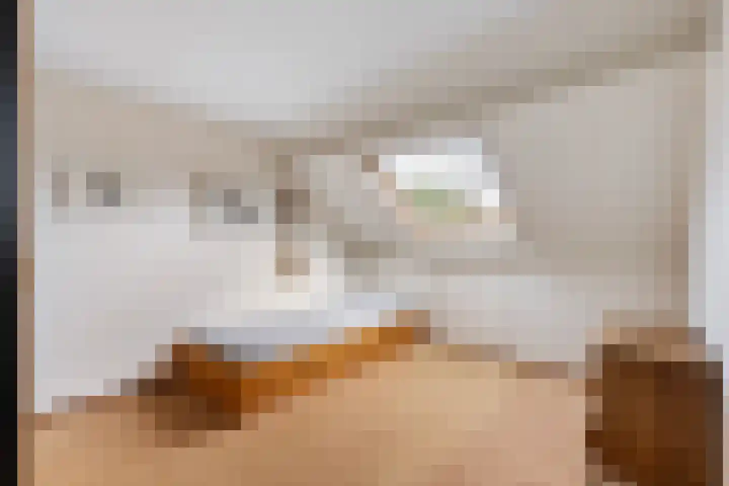 Steenboerweg 15 Zwolle thumbnail 25