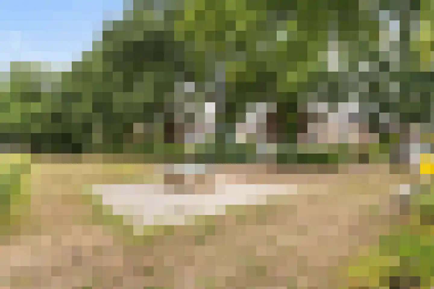 Steenboerweg 15 Zwolle thumbnail 27