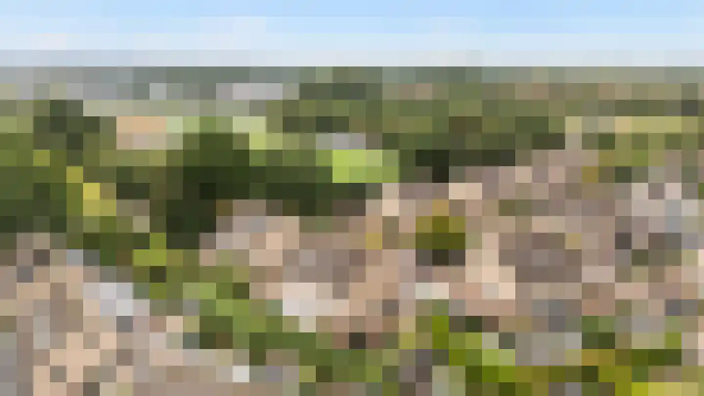 Steenboerweg 15 Zwolle thumbnail 28