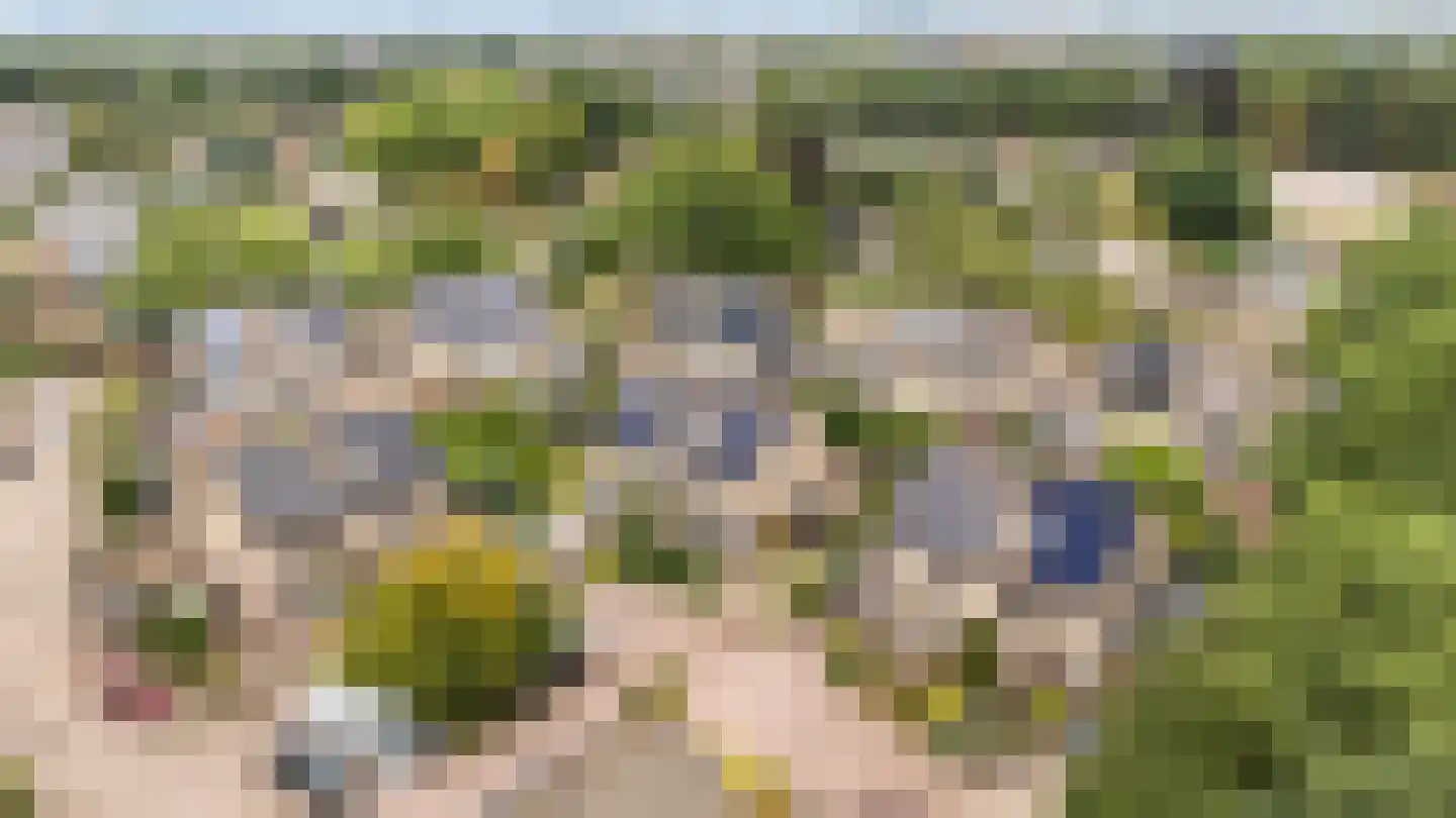 Steenboerweg 15 Zwolle thumbnail 29
