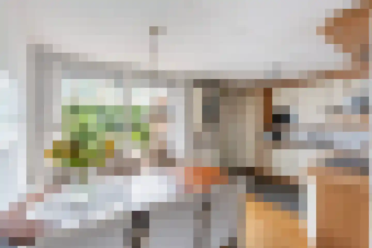 Steenboerweg 15 Zwolle thumbnail 9