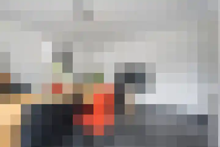 Steenboerweg 20 Zwolle thumbnail 11