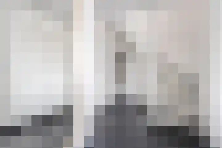 Steenboerweg 20 Zwolle thumbnail 12