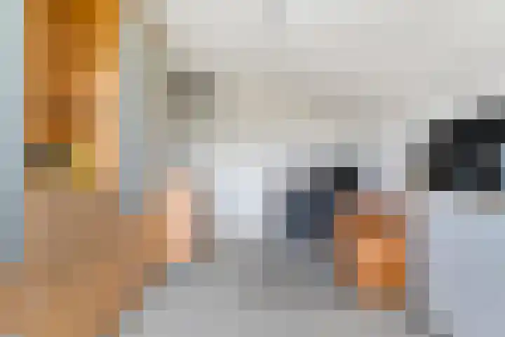 Steenboerweg 20 Zwolle thumbnail 17