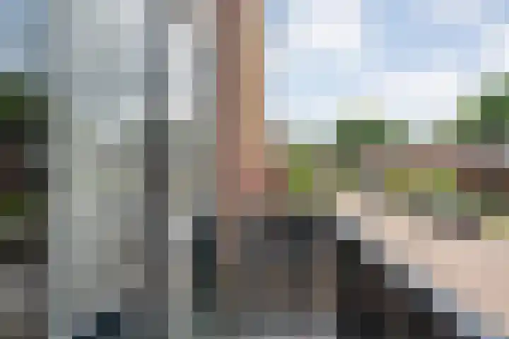 Steenboerweg 20 Zwolle thumbnail 22