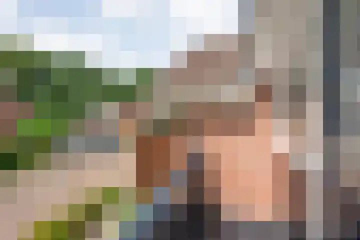 Steenboerweg 20 Zwolle thumbnail 23
