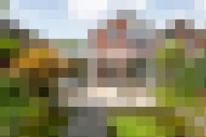 Steenboerweg 20 Zwolle thumbnail 26