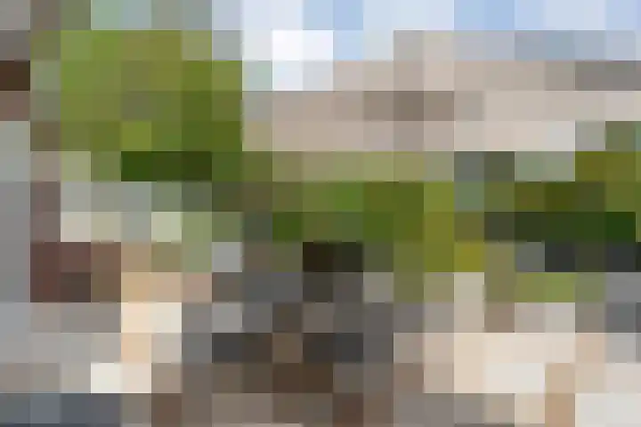 Steenboerweg 20 Zwolle thumbnail 27