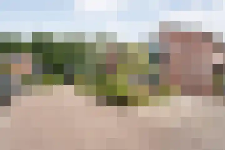 Steenboerweg 20 Zwolle thumbnail 30