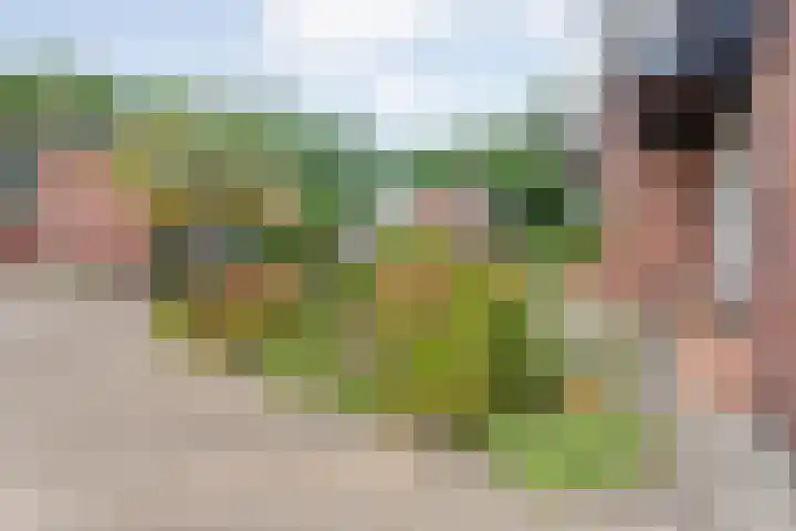 Steenboerweg 20 Zwolle thumbnail 33