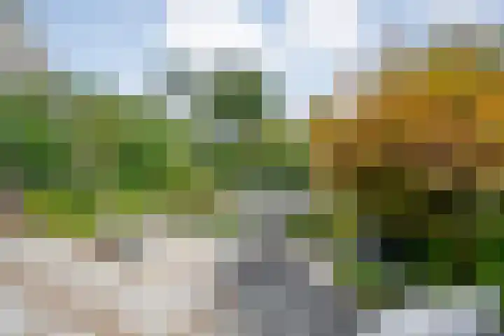 Steenboerweg 20 Zwolle thumbnail 34