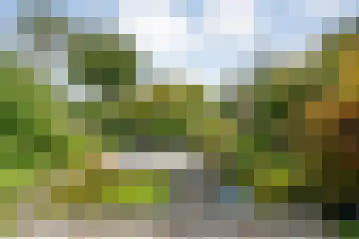 Steenboerweg 20 Zwolle thumbnail 35