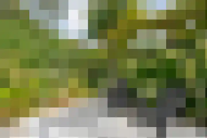 Steenboerweg 20 Zwolle thumbnail 36