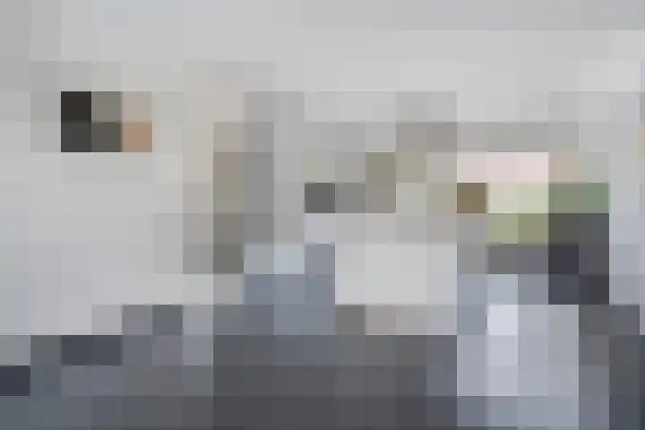 Steenboerweg 20 Zwolle thumbnail 4
