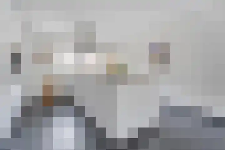 Steenboerweg 20 Zwolle thumbnail 6