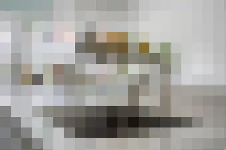 Steenboerweg 20 Zwolle thumbnail 7