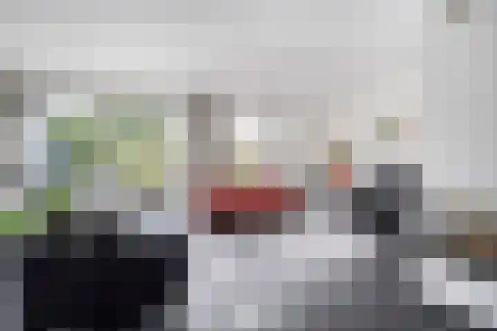 Steenboerweg 20 Zwolle thumbnail 8