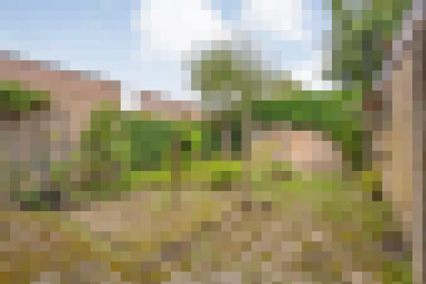 Steenboerweg 36 Zwolle thumbnail 38