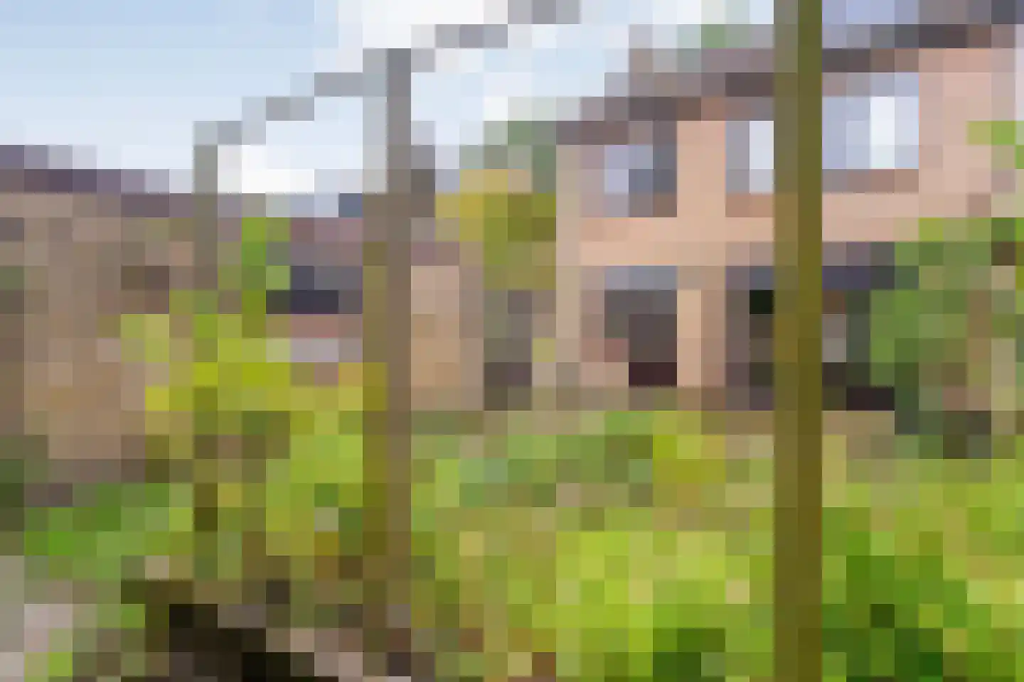 Steenboerweg 36 Zwolle thumbnail 39