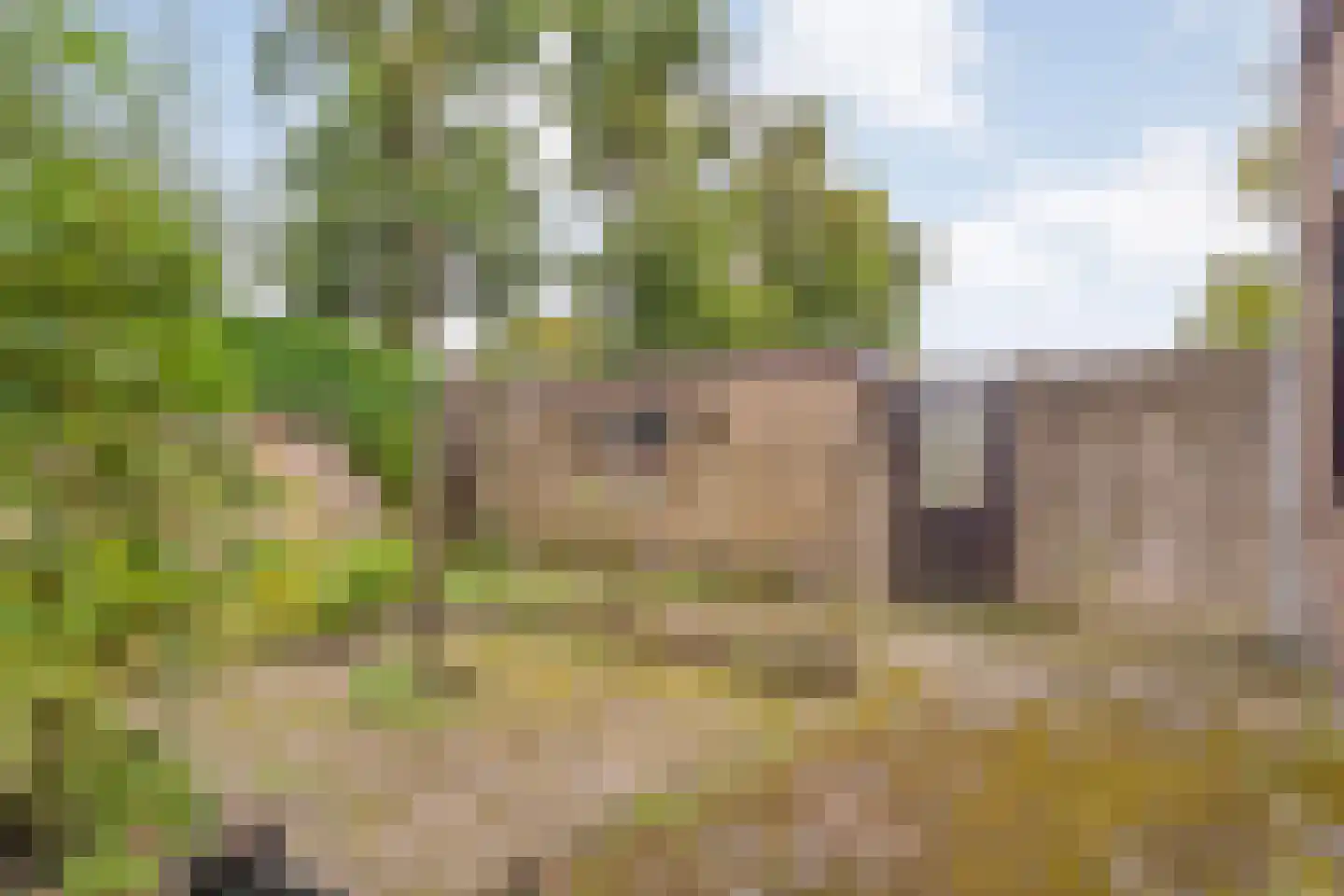Steenboerweg 36 Zwolle thumbnail 40