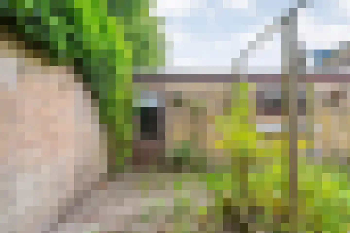 Steenboerweg 36 Zwolle thumbnail 42