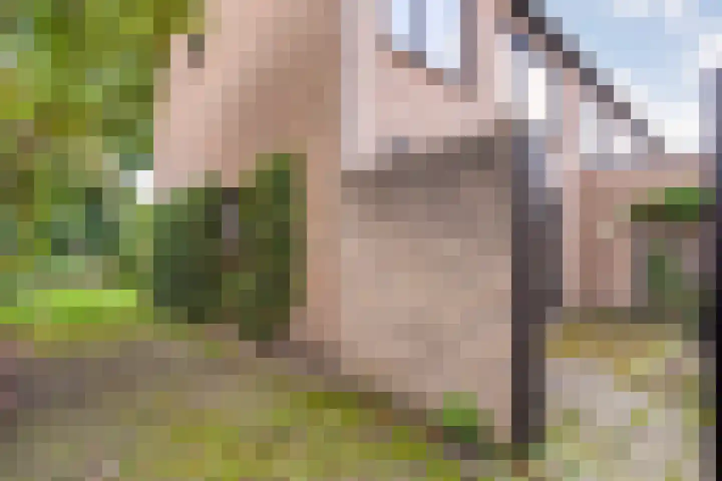 Steenboerweg 36 Zwolle thumbnail 43