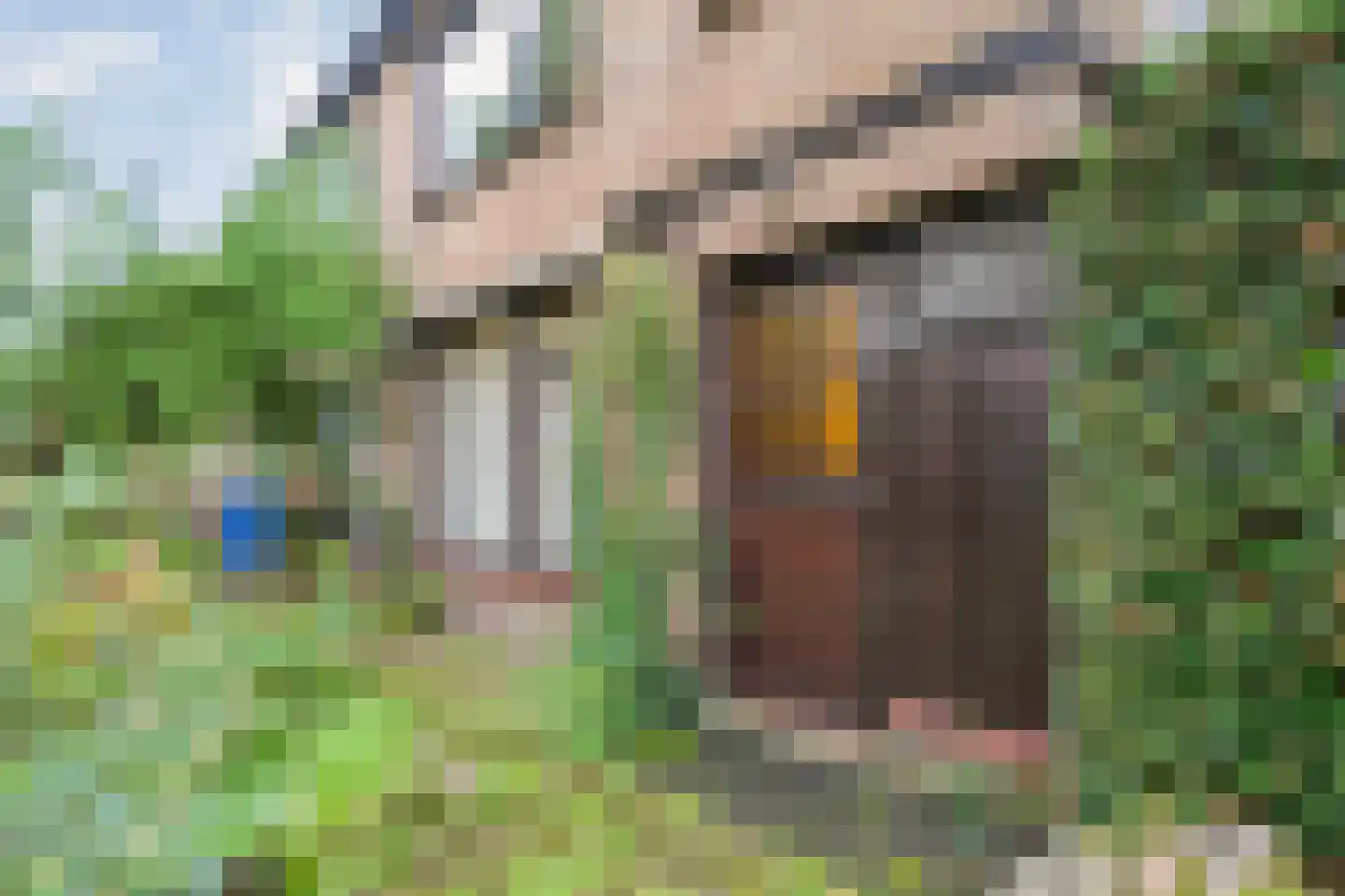 Steenboerweg 36 Zwolle thumbnail 44