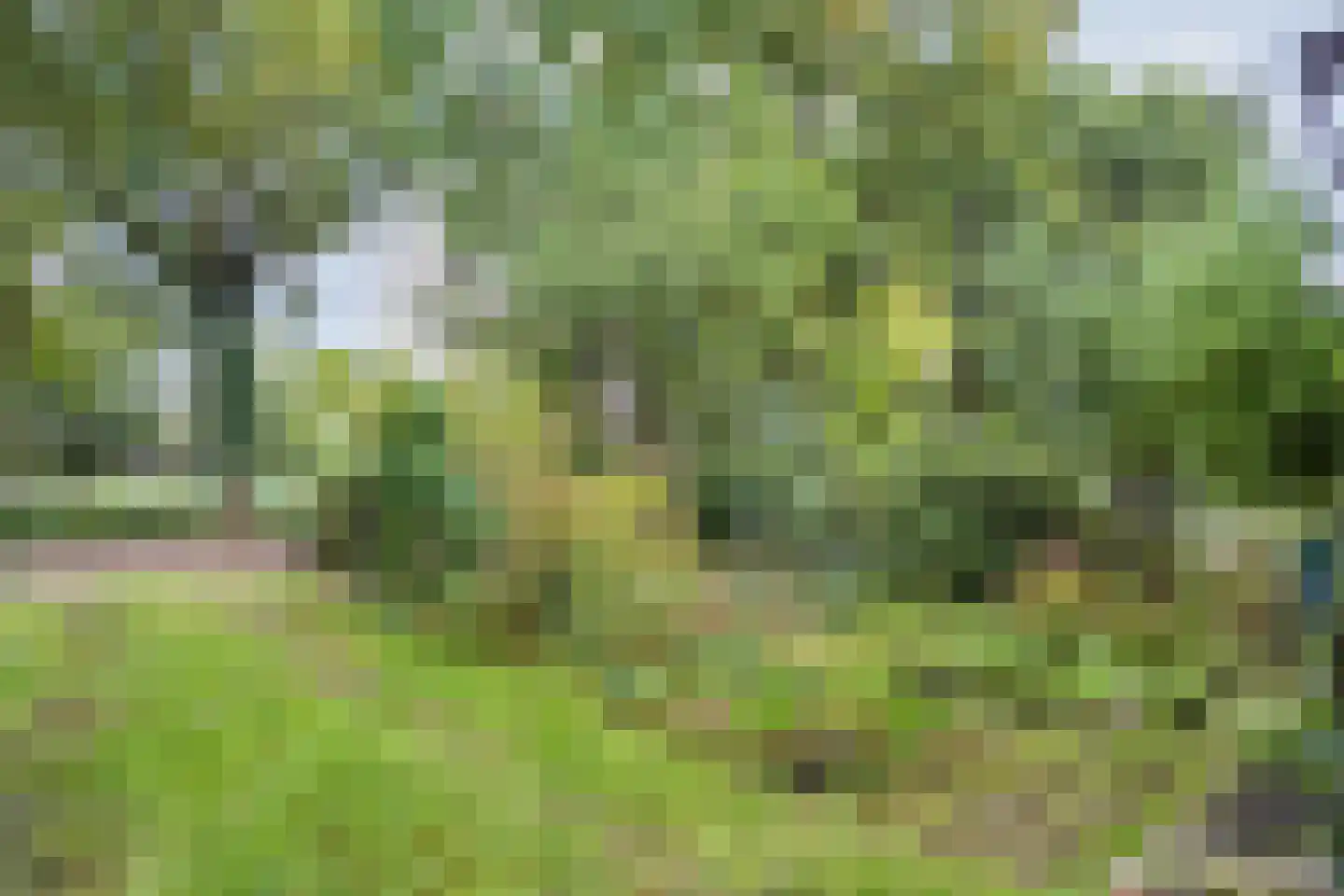 Steenboerweg 36 Zwolle thumbnail 45