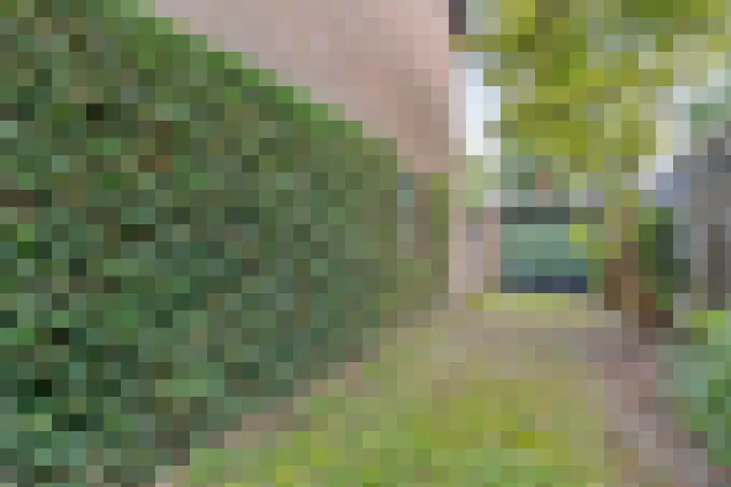 Steenboerweg 36 Zwolle thumbnail 47