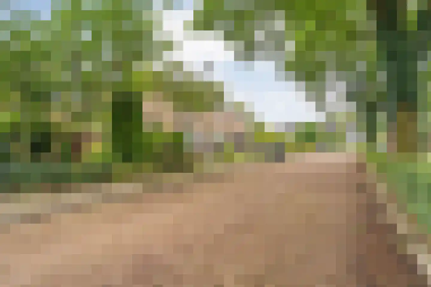Steenboerweg 36 Zwolle thumbnail 49