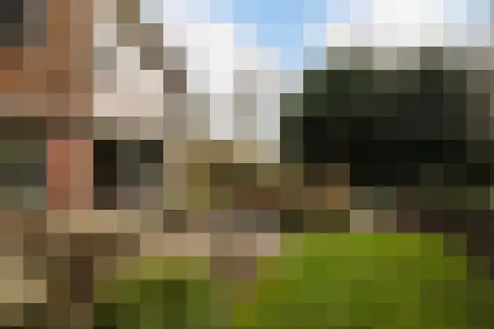 Steenboerweg 41 Zwolle thumbnail 31
