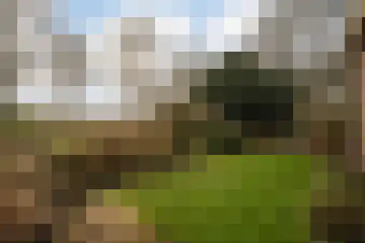 Steenboerweg 41 Zwolle thumbnail 32