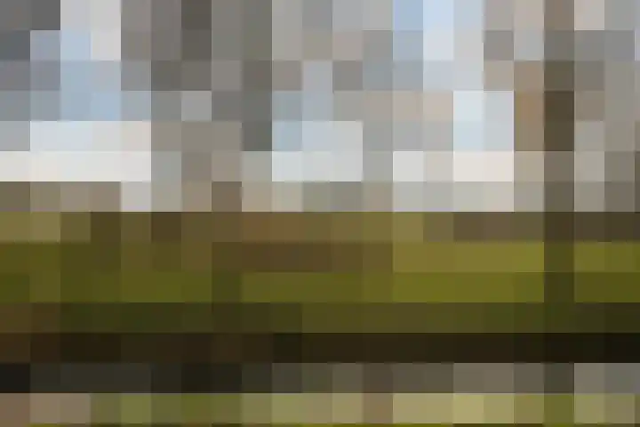 Steenboerweg 41 Zwolle thumbnail 33