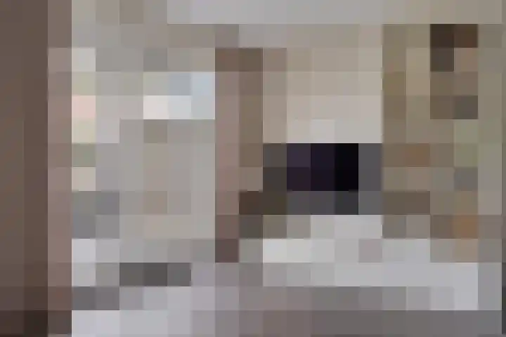 Steenbok 15 Klazienaveen thumbnail 10