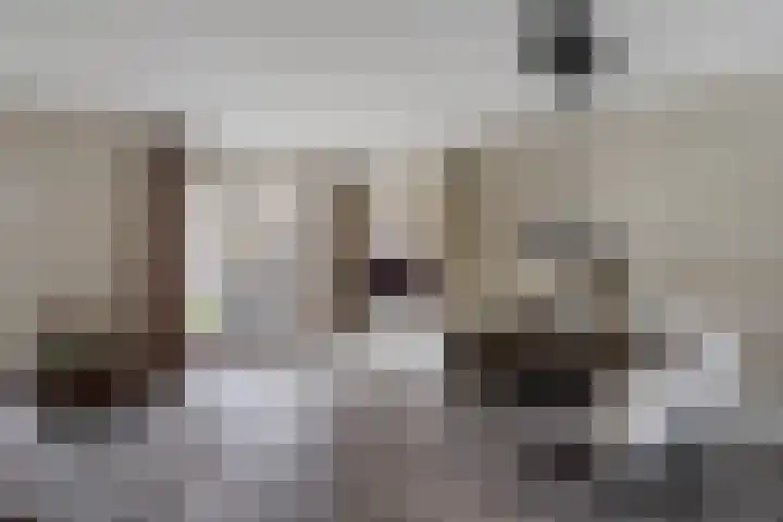 Steenbok 15 Klazienaveen thumbnail 11