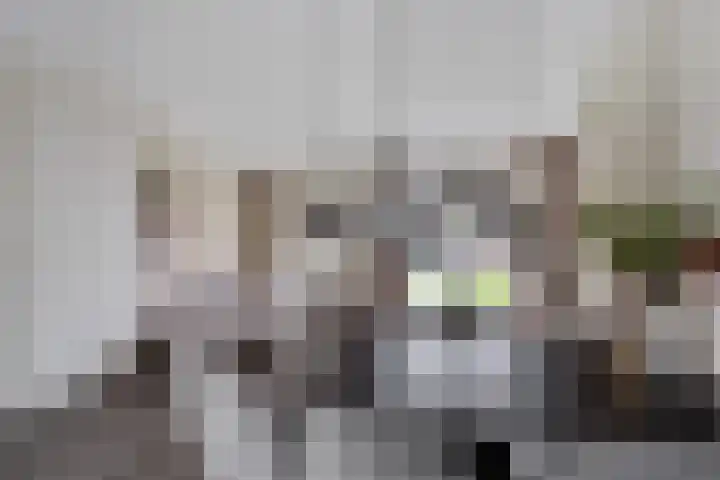 Steenbok 15 Klazienaveen thumbnail 12