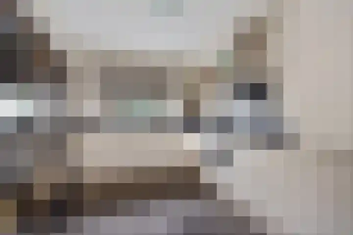 Steenbok 15 Klazienaveen thumbnail 13