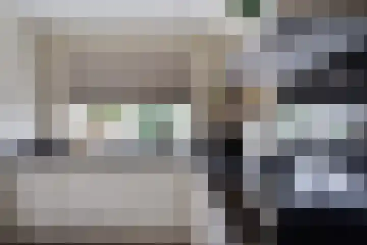 Steenbok 15 Klazienaveen thumbnail 14